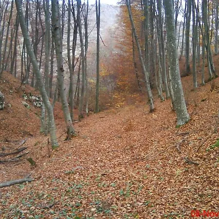 Etno Kuce Miljevic Camping