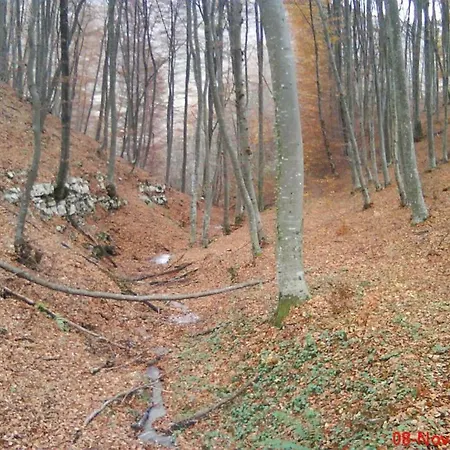 Etno Kuce Miljevic Campsite *
