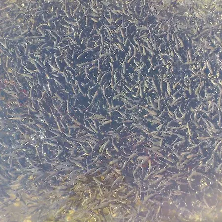 Etno Kuce Miljevic Sipovo