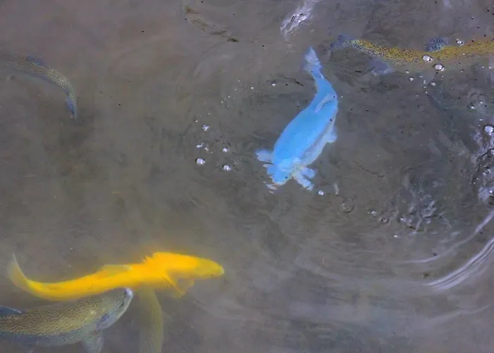 Etno Kuce Miljevic * Sipovo