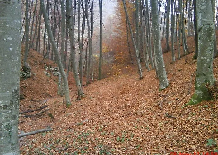 Etno Kuce Miljevic 营地