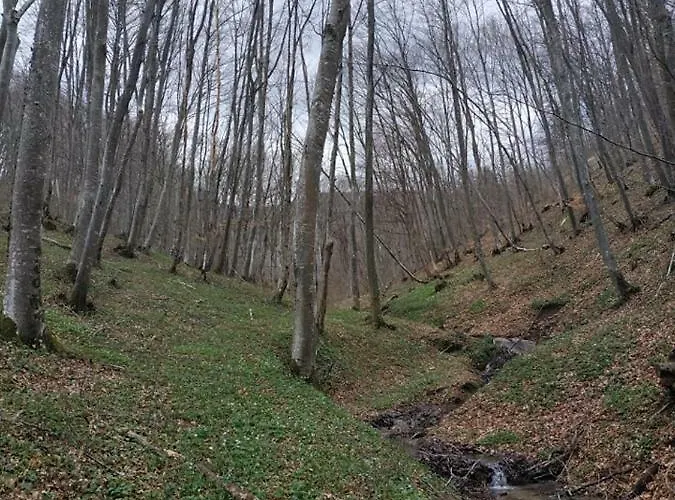 营地 Etno Kuce Miljevic *